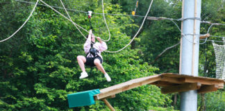 Go Wild this summer with thrilling treetop treks Galway Daily life & style Go Wild this summer