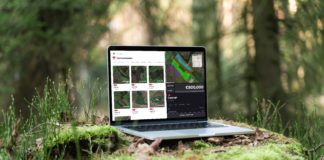 Galway company helping to revolutionise forestry market Galway Daily news Galway company helping to revolutionise forestry market