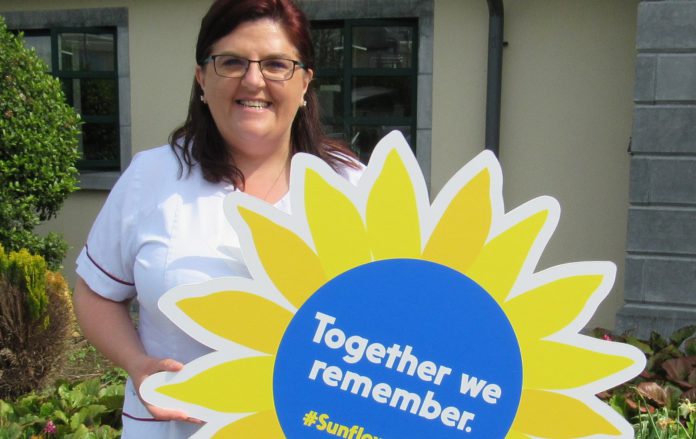 galway daily news sunflower appeal galway hospice