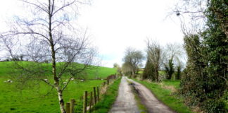 Galway allocated €724,000 to improve rural laneways and non-public roads galway daily news road sean canney call for funding country road in galway