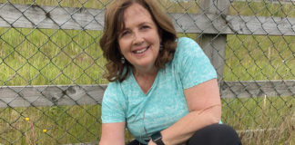 Call for more pollination zones in Ballinasloe to promote biodiversity galway daily news cllr evelyn parsons ballinasloe pollination