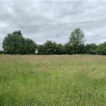 a4f6f775-a460-4f4a-acd1-7a653c2bb70a_l