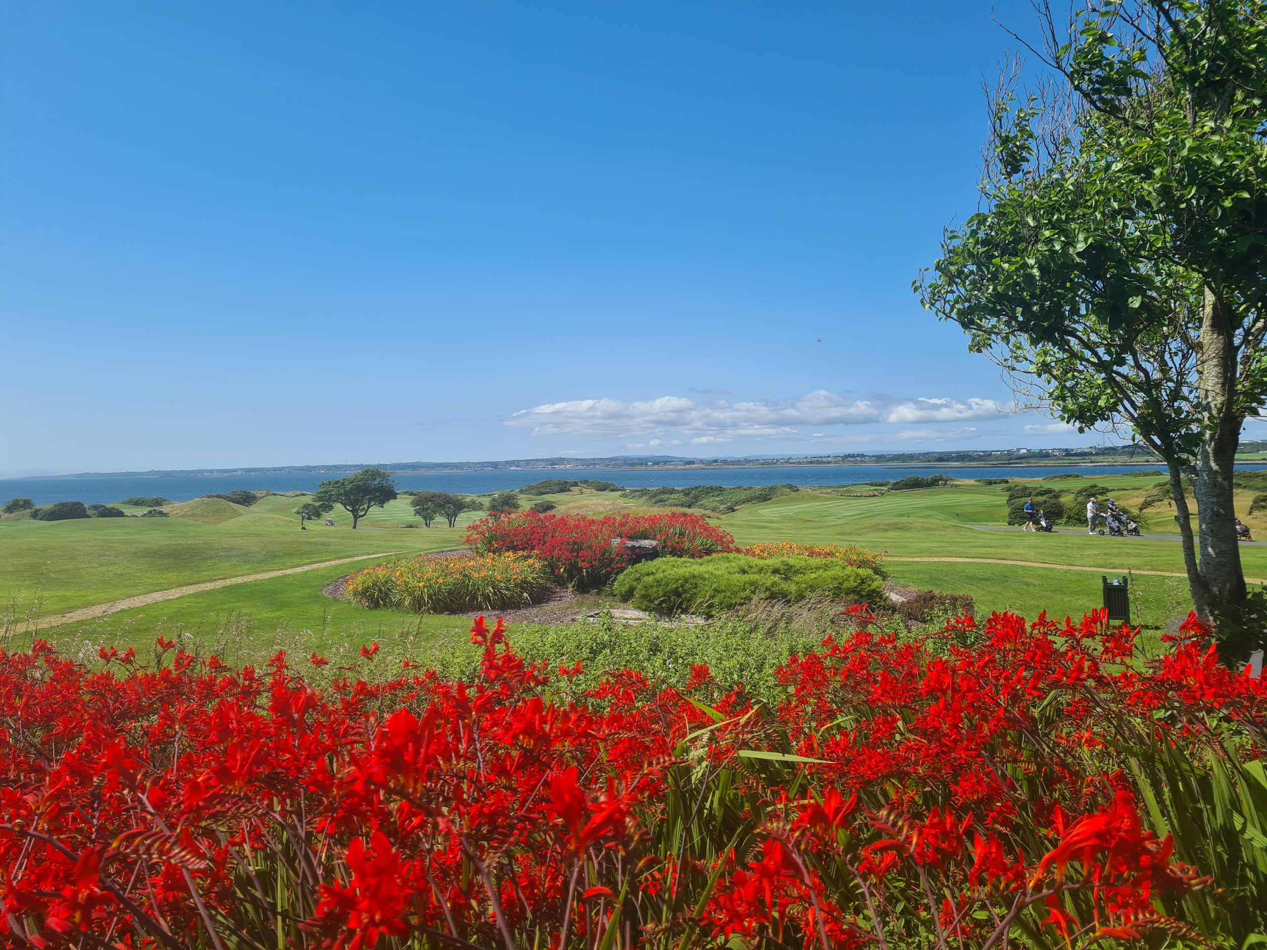 Galway Daily Dinner with a world class view at Galway Bay Golf Resort