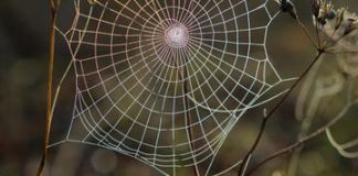 Galway woman’s second poetry collection explores revelation in everyday life Galway Daily books Galway woman's second poetry collection explores revelation in everyday life