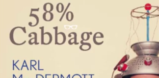 Hilarious new novel set in Galway to be released in September galway daily news 58% cabbage new novel by galway comic author