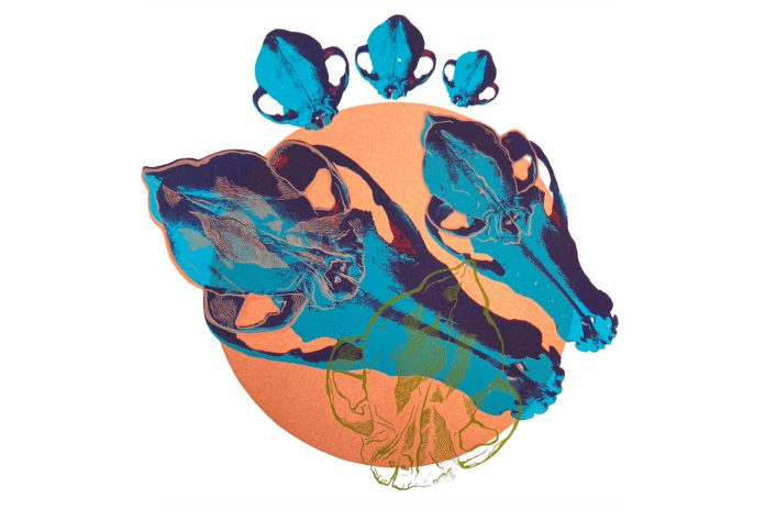 Art exhibition gives spotlight for GMIT graduates