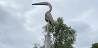 Galwegians urged to take part in Up the Hill for Jack & Jill challenge galway daily news jack & Jill fundraising challenge