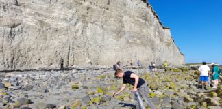 Big beach clean-up organised for Galway City this Saturday galway daily news big beach clean up 2021 galway city