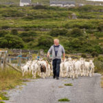 Aran Islands Goats Cheese Food Tours by Julia Dunin Photography-376