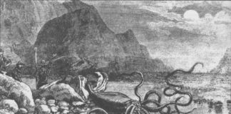 A different kind of Squid game Galway Daily news A different kind of Squid Game