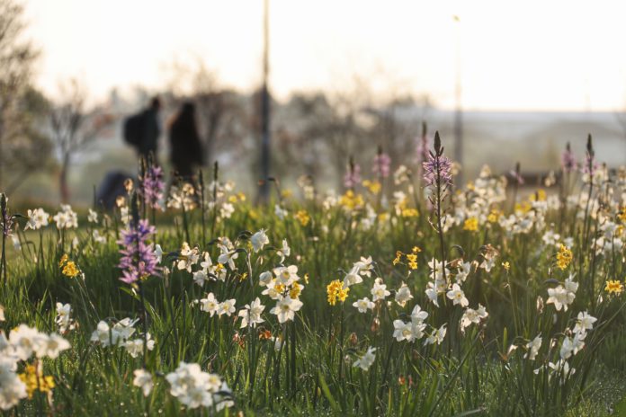 galway daily news nui galway sustainability award