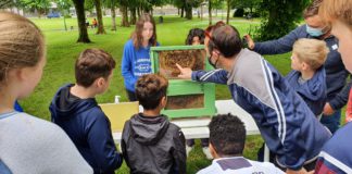 Galway winners at ReelLIFE SCIENCE video awards galway daily news science reels galway students