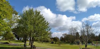 Palace Fields in Tuam awarded Green Flag status Galway Daily Palace Fields awarded Green Flag status