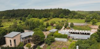 Galway venue among Ireland’s most pet-friendly for weddings Galway Daily lifestyle Galway venue among the most pet-friendly for weddings