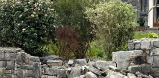 Call for action to tackle speeding near Merlin Park Hospital Galway Daily news Call for action to tackle speeding near Merlin Park Hospital