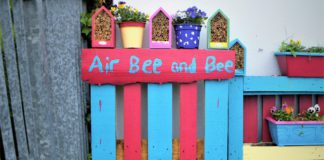 Changes made to Galway City Tidy Towns and Garden Competition galway daily news tidy towns competition garden 2022