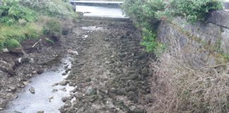 Over two tonnes of rubbish collected in Eglinton Canal & Claddagh Basin Galway Daily news Over two tonnes of rubbish collected in Eglinton Canal & Claddagh Basin
