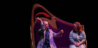 Blue Teapot shines a light Into The Dark Woods Galway daily Theatre Shining a light headed Into the Dark Woods