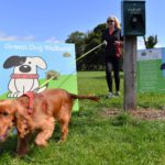 Green Dog Walkers 1