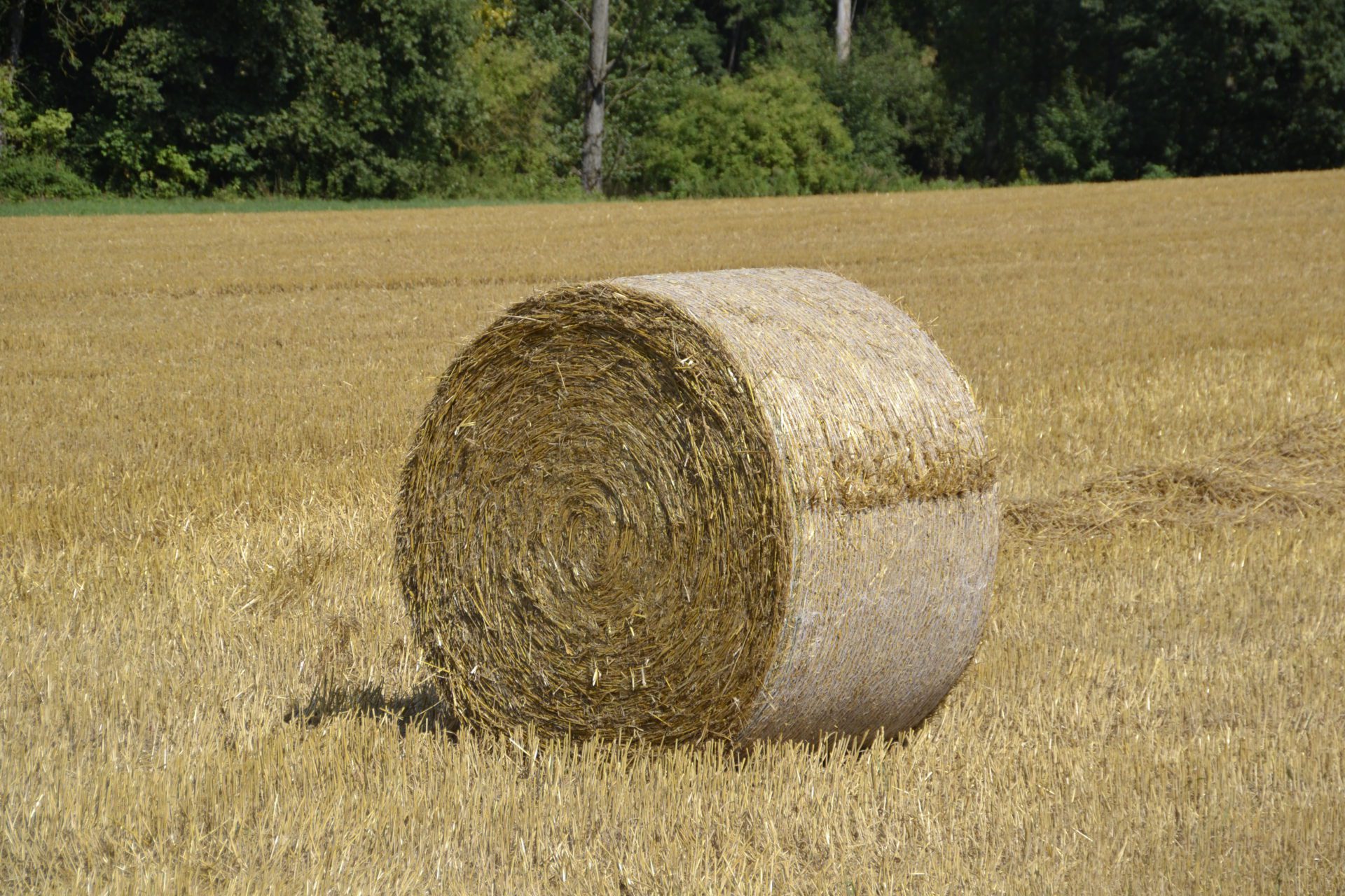 Gardaí investigate after bales of hay stolen in Oranmore Galway Daily