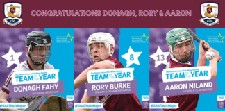 Three Galway players on minor hurling Team of the Year Galway Daily sport Three Galway players on minor hurling Team of the Year