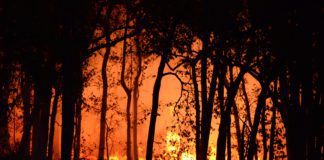 NPWS makes public appeal over high fire risk Galway Daily news NPWS makes public appeal of high fire risk