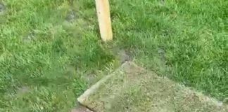 Vandals rip up sods at Galway Bohemians pitch galway daily news galway bohemians pitch vandalised