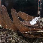 Macnas_Emj Camera-29