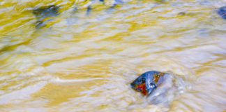 Raw sewage flowing into four Galway areas every day galway daily news raw sewage galway