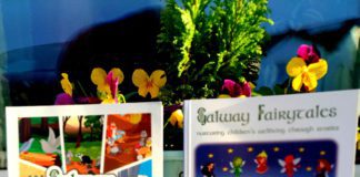 Galway fairytale books make the perfect Christmas gifts galway daily news merlin galway fairy book for children 2022 christmas