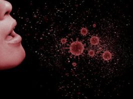 galway daily news public urged to help contain spead of flu