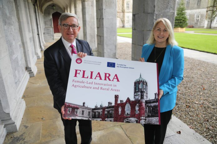 galway daily news university of galway fliara project