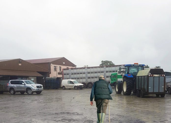 galway daily news mountbellew mart social group