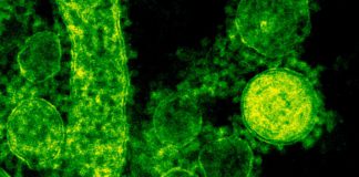 HSE urging people in Galway to get HPV vaccine HSE urges people to help limit spread of RSV to protect children and newborns