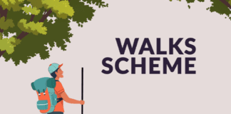 70 new walking trails to be developed as part of Walks Scheme galway daily news walks scheme new walking trails