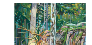 Exhibition opening for award winning Galway-Based Artist Cecilia Danell