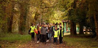 Mercy College students learn the importance of forests galway daily news mercy college with coillte