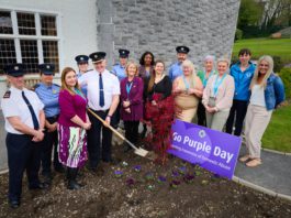Go Purple for COPE Galway and support domestic abuse services