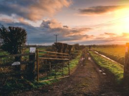 Call for active farmland to be exempted from Residential Zoned Land Tax