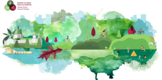 Public feedback invited on future of Galway City’s parks, woodlands, and beaches Galway Daily news Public feedback invited on future of Galway City's parks, woodlands, and beaches