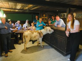 galway daily news banshees of inisherin pub opens in galway