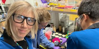 Galway researchers develop new approach for cancer vaccine galway daily news university of galway cancer vaccine study