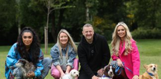 “This is a crisis” – Animal cruelty cases reach all time high galway daily news ispca campaign