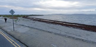 Pilot project to combat coastal erosion at Galway City beach Further warnings issued for Galway City beaches