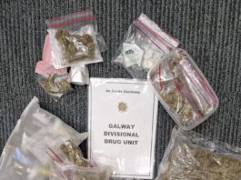 Galway Daily news Gardaí seize €23,000 worth of drugs in Athenry