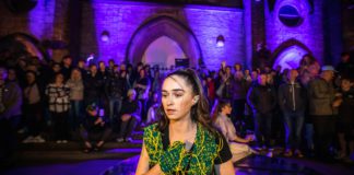 Fíbín sa Taibhdhearc calls for submissions for ‘Scéal na Gaillimhe’ galway daily news fíbín calls for submissions to story of galway project