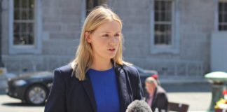 Intervention needed in fallen animals collections dispute galway daily news claire kerrane speaking about fallen animals