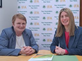 Galway Daily news Galway's Teresa Roche taking up role with IFA