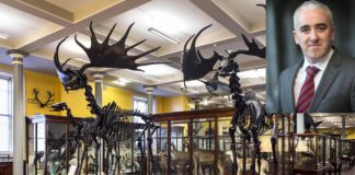 University of Galway’s Professor appointed new Chair to the Board of the National Museum of Ireland