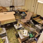 Roscommon grow house